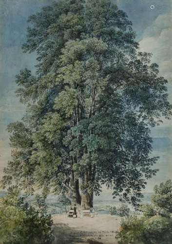 Attribué à Gabriel II Lory (1784-1846) - Grand arbre, aquarelle sur papier, 37x37 cm -