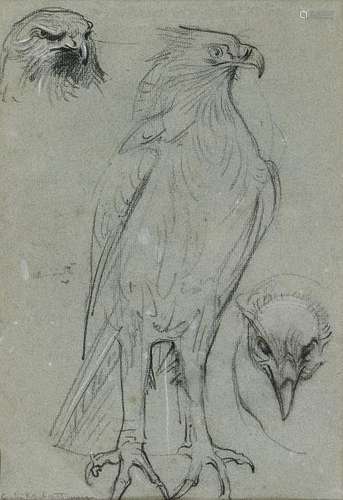 Charles L'Eplattenier (1874-1946) - Croquis de rapaces, fusain sur papier, [...]