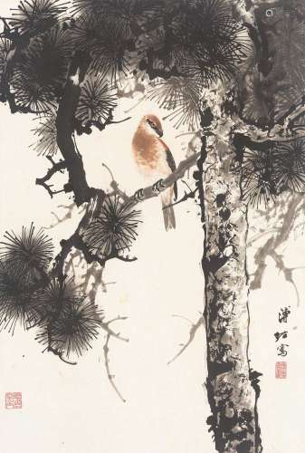 溥佐（1918～2001） 松禽图 立轴 纸本设色