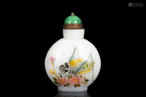 A PAINTED INSECT SNUFF BOTTLE