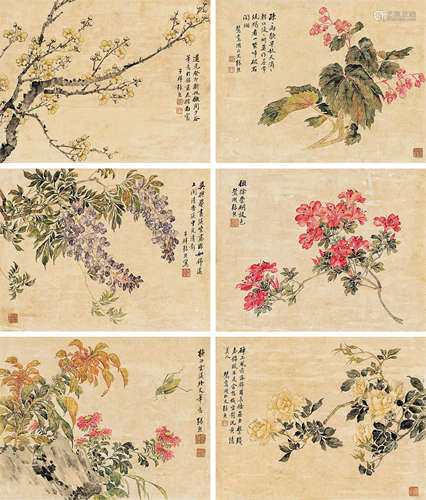 张熊（1803～1886） 花卉 （六帧） 镜心 设色纸本