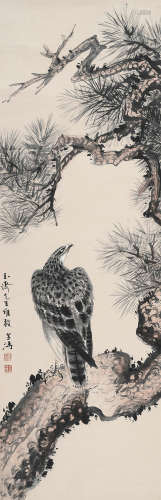 王雪涛（1903～1982） 鹰 镜心 设色纸本