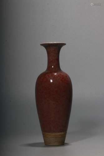A Chinese Bloom-Peach Glazed porcelain Vase