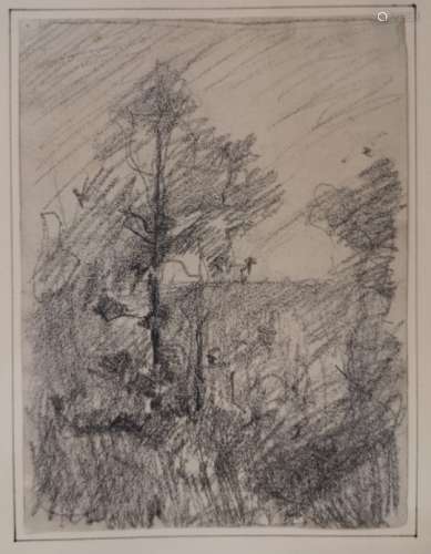 Jean Alexis ACHARD (1807-1884). Etude d'arbre. Crayon, porte le tampon d'atelier en [...]