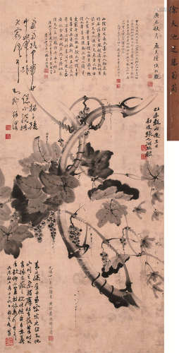徐渭（1521～1593） 紫藤葡萄 轴 设色纸本