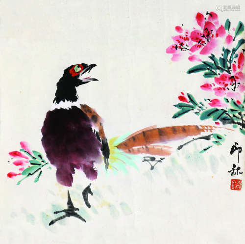萧朗（1917～2010） 锦鸡 镜片 设色纸本