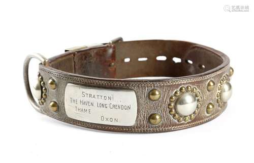 A Victorian brown leather dog collar, decorated wi…