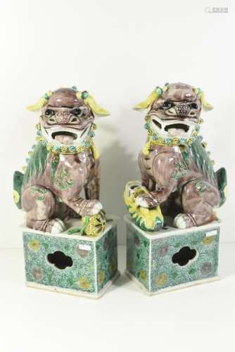 Paire de chiens de Fô en porcelaine de Chine 19ème…