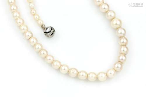 Necklace with cultured akoya pearls