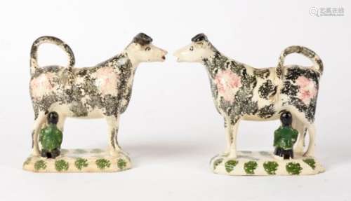 A pair of early 19th Century spongeware cow creamers, each horned cow figure accompanied by a