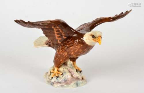 A Beswick model of a bald eagle, number 1018, wingspan 34cm