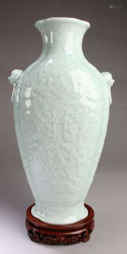 Chinese DouQing Porcelain Vase