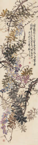 赵云壑（1874～1955） 紫藤 立轴 设色纸本