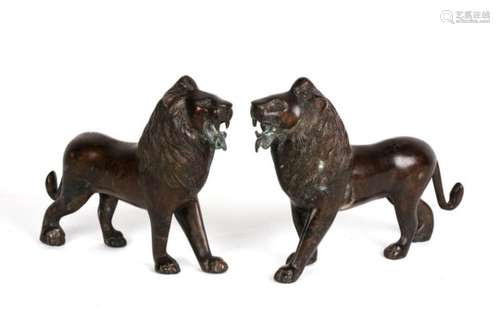 A pair of cast bronze lions. 25cm 9.75ins long