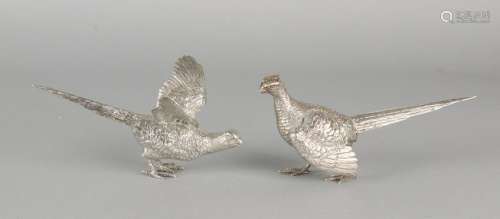 A few silver table pheasants, 835/000, male and female