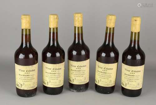 Five old bottles Vieux Calvados. Michel Beucher. Size: