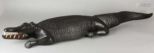 Large African crocodile wood inserted. 20th century.