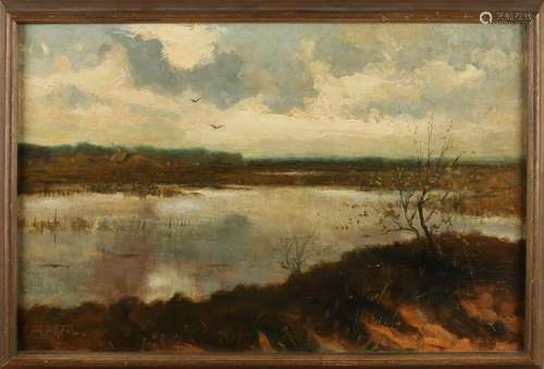 Gerard Krol. 1882 - 1950. View Aamsveen. Oil paint on