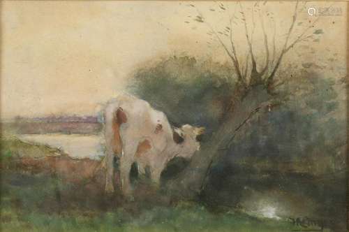 H. A. van Ingen. 1833 - 1898. Cow at Pollard to ditch.