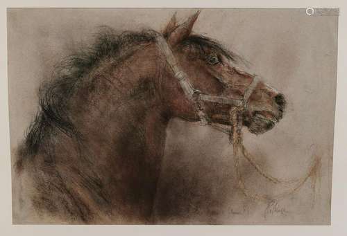 Piet Klaase. 20th century. Horse Head. Lithograph on