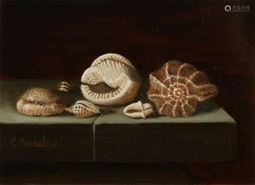 C. Cornelisz. 21st century. Still life with shells. Oil