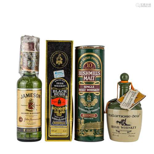 IRLAND 4 Flaschen Irish Whiskey BUSHMILLS MALT 10 …