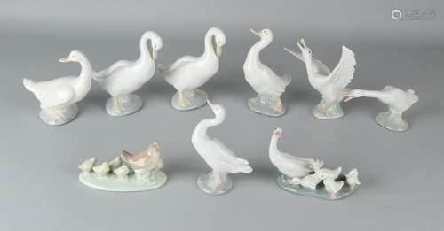 Nine Spanish porcelain geese. N.A.O. and once Lladro.