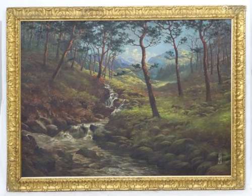 John Fud???, 1920, Sottish School, Oil on canvas, A Highland stream enters the woods,