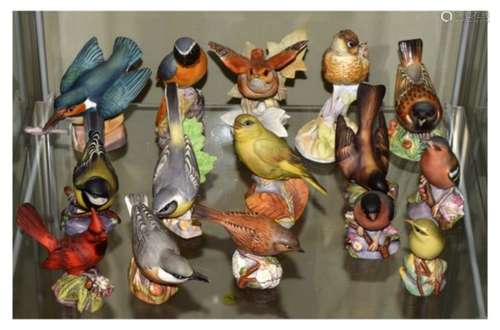 Fifteen assorted Royal Worcester porcelain bird figurines (15)