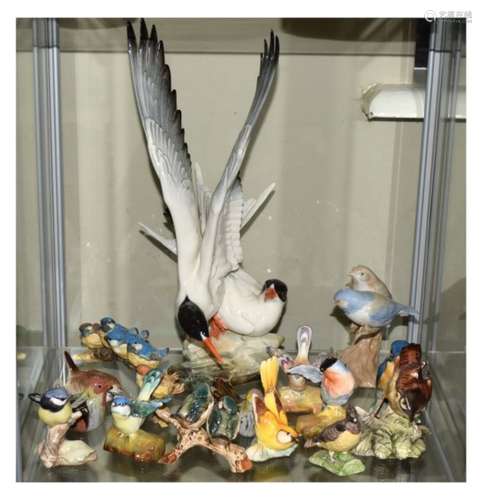 Large selection of ceramic bird ornaments to include; Crown Staffordshire, Capodimonte, Russian,