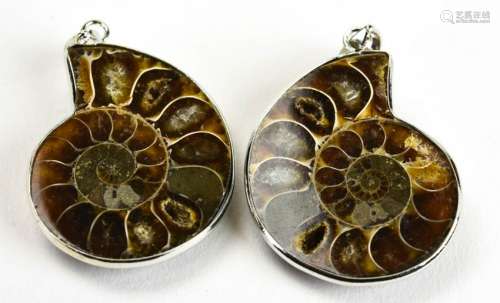 Pair Ammonite Fossils Mounted as Necklace Pendants