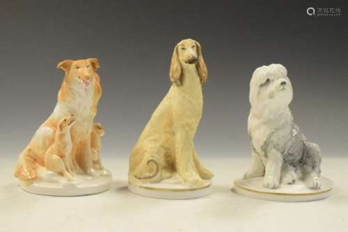 Three Royal Worcester porcelain dogs comprising: Afghan Hound, Old English Sheepdog puppy and