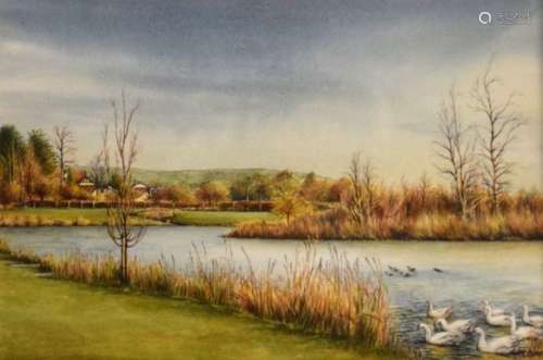 Terry Bevan - Watercolour - Backwell Lake, 17cm x 25.5cm, framed and glazed