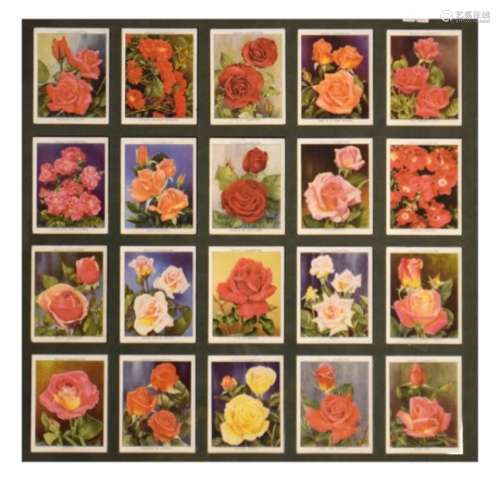 Cigarette Cards - Three framed collections to include; Wills Garden Flowers New Varieties 1939 (3)