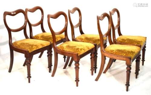 Set of six Victorian mahogany buckle back dining chairs having drop-in seats