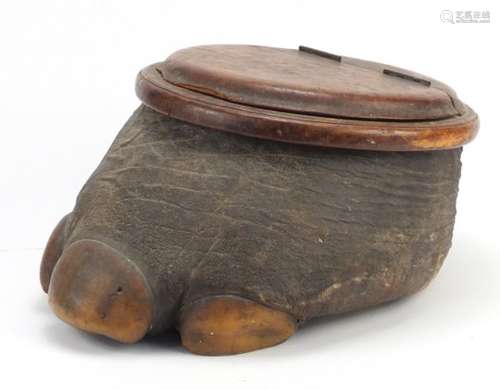 Taxidermy rhinoceros foot with lidded compartment, 39cm in length : For Further Condition Reports