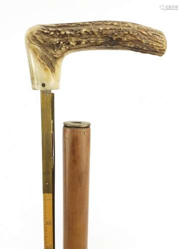 Horn handled walking stick with concealed horse measuring stick, 100cm in length : For Further