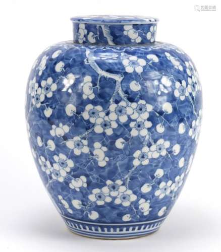 Chinese blue and white porcelain jar and cover, hand painted with prunus flowers, 24cm high : For