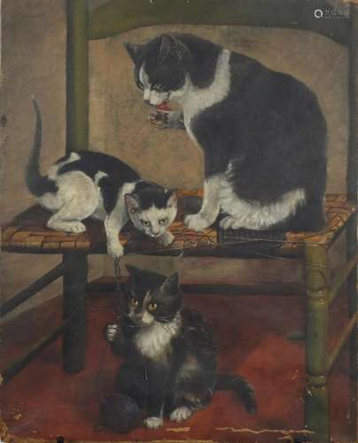 Kittens at Play, Victorian oil onto canvas, unframed, 55.5cm x 45.5cm : For Further Condition