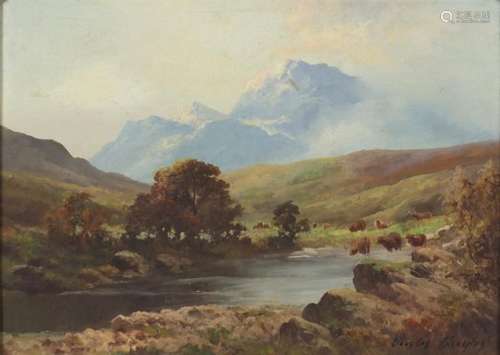 Douglas Falconer - Glen Affric, West Scotland, oil on board, mounted in ornate frame, 33cm x