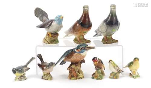 Nine Beswick birds including kingfisher and cuckoo, the largest 14.5cm high : For Further