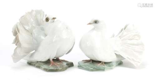 Two Rosenthal porcelain birds, the largest 17cm in length : For Further Condition Reports Please