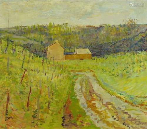 Vineyards, oil on canvas, bearing an indistinct signature, framed, 69cm x 59cm : For Further