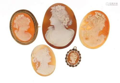 Five cameos including one with 9ct gold brooch mount, the largest 4cm in length : For Further