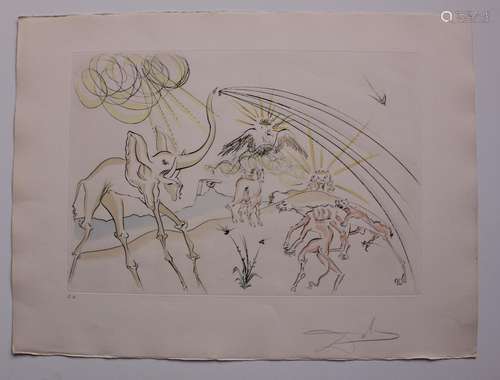 Salvador Dali- Original Engravings with color by pochoir 