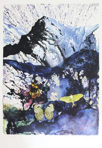 Salvador Dali- Original Lithograph 