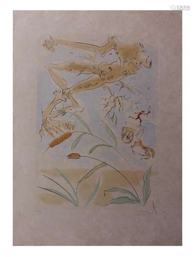 Salvador Dali- Original engravings with color 