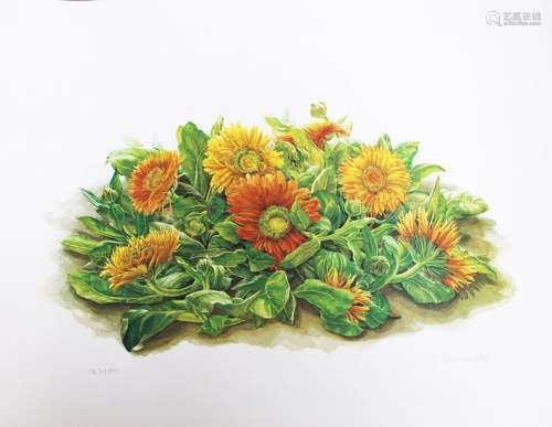 Judith Schimany (1955 born), Flowers, colour litho…
