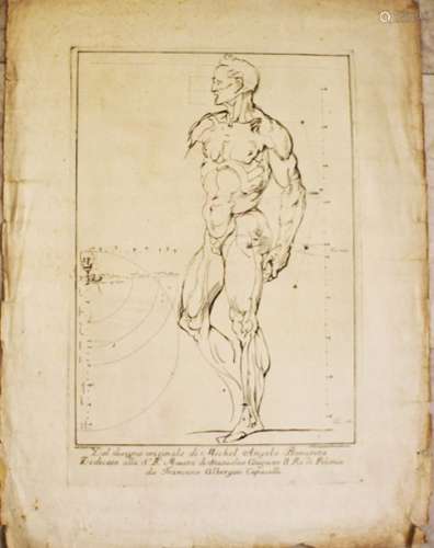 Michelangelo after, Body study by Paroli, chalcogr…