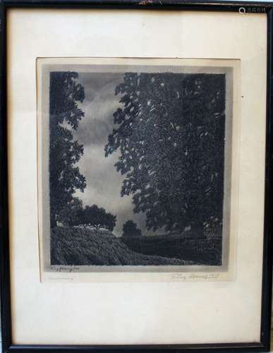 Franz Abony, 20th Century, Etching on paper; frame…